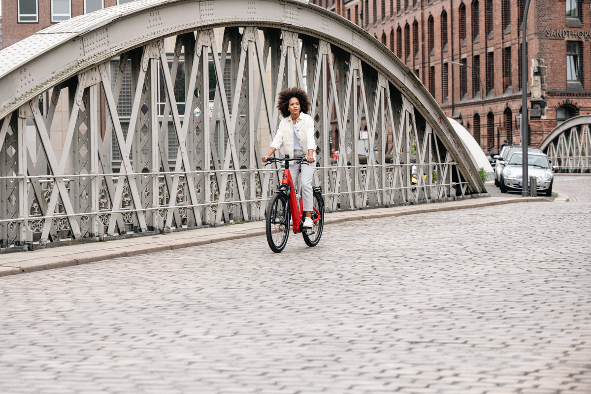 E-TREKKINGBIKES